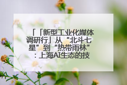 「新型工业化媒体调研行」从“北斗七星”到“热带雨林”：上海AI生态的技术商业共生密码