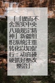 「锲而不舍落实中央八项规定精神」新疆组织系统注重转化以知促行：动真碰硬抓好整改整治