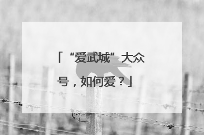 “爱武城”大众号，如何爱？