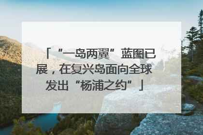 “一岛两翼”蓝图已展，在复兴岛面向全球发出“杨浦之约”
