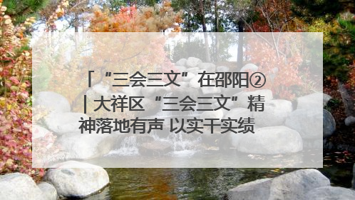 “三会三文”在邵阳②｜大祥区“三会三文”精神落地有声 以实干实绩助力区域高质量发展