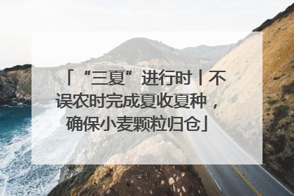 “三夏”进行时丨不误农时完成夏收夏种，确保小麦颗粒归仓