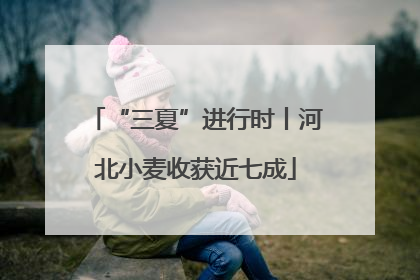 “三夏”进行时丨河北小麦收获近七成