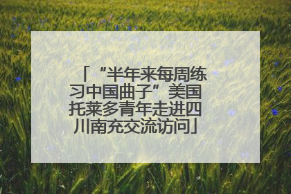 “半年来每周练习中国曲子”美国托莱多青年走进四川南充交流访问