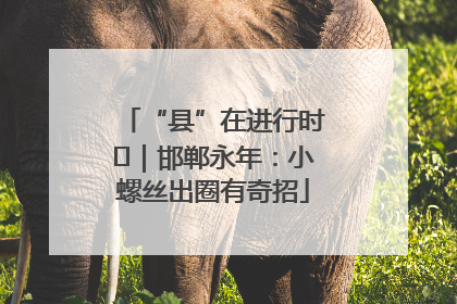 “县”在进行时⑬｜邯郸永年：小螺丝出圈有奇招