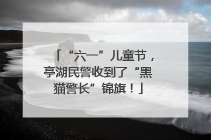 “六一”儿童节，亭湖民警收到了“黑猫警长”锦旗！