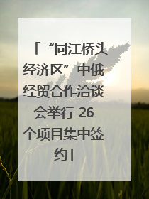 “同江桥头经济区”中俄经贸合作洽谈会举行 26个项目集中签约