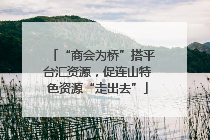 “商会为桥”搭平台汇资源，促连山特色资源“走出去”