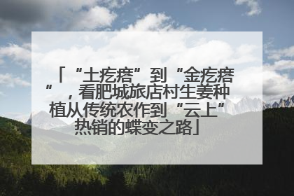 “土疙瘩”到“金疙瘩”，看肥城旅店村生姜种植从传统农作到“云上”热销的蝶变之路