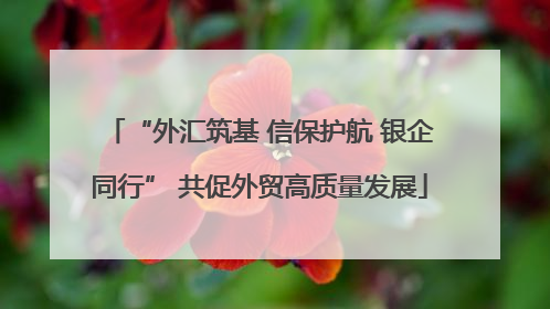 “外汇筑基 信保护航 银企同行” 共促外贸高质量发展