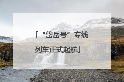 “岱岳号”专线列车正式起航