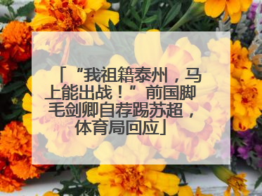 “我祖籍泰州，马上能出战！”前国脚毛剑卿自荐踢苏超，体育局回应