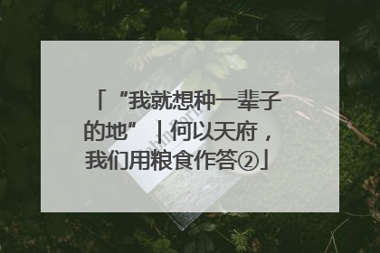 “我就想种一辈子的地”｜何以天府，我们用粮食作答②