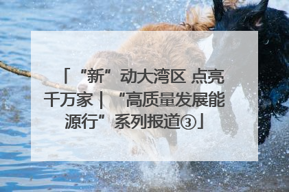 “新”动大湾区 点亮千万家｜“高质量发展能源行”系列报道③