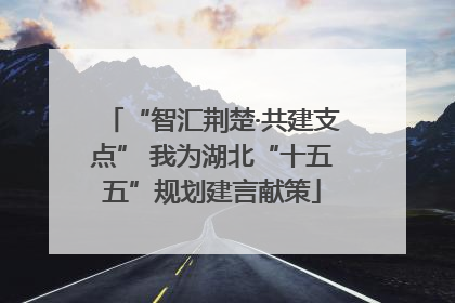 “智汇荆楚·共建支点” 我为湖北“十五五”规划建言献策