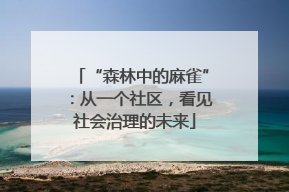 “森林中的麻雀”：从一个社区，看见社会治理的未来