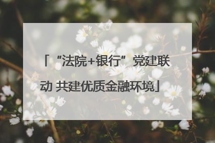 “法院+银行”党建联动 共建优质金融环境
