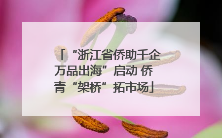 “浙江省侨助千企万品出海”启动 侨青“架桥”拓市场