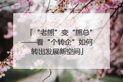 “老熊”变“熊总”——看“个转企”如何转出发展新空间