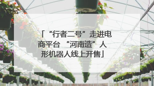 “行者二号”走进电商平台 “河南造”人形机器人线上开售
