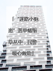 “迷路小狍崽”落单蜷缩草丛中，民警暖心救助