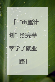 “雨露计划”照亮莘莘学子就业路
