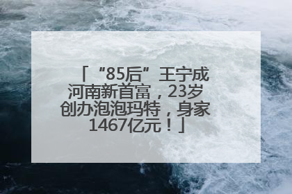 “85后”王宁成河南新首富，23岁创办泡泡玛特，身家1467亿元！