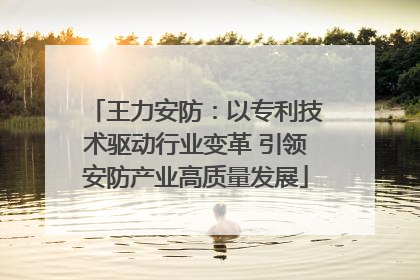 王力安防：以专利技术驱动行业变革 引领安防产业高质量发展