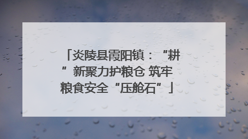 炎陵县霞阳镇：“耕”新聚力护粮仓 筑牢粮食安全“压舱石”