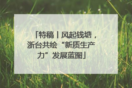 特稿丨风起钱塘，浙台共绘“新质生产力”发展蓝图