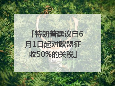 特朗普建议自6月1日起对欧盟征收50%的关税