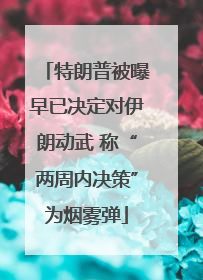 特朗普被曝早已决定对伊朗动武 称“两周内决策”为烟雾弹