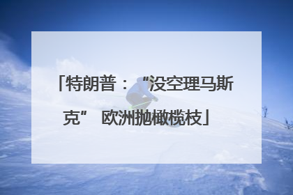 特朗普：“没空理马斯克” 欧洲抛橄榄枝