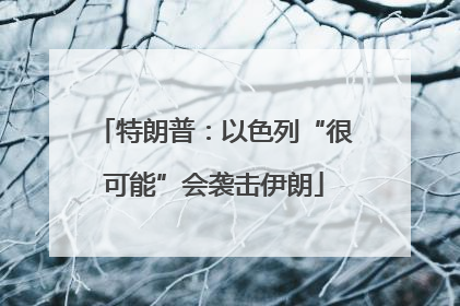 特朗普：以色列“很可能”会袭击伊朗