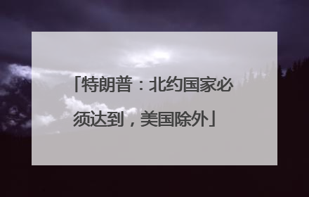 特朗普：北约国家必须达到，美国除外