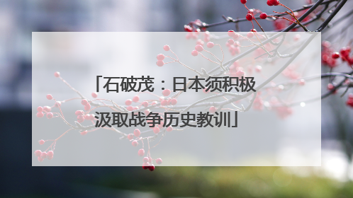 石破茂：日本须积极汲取战争历史教训