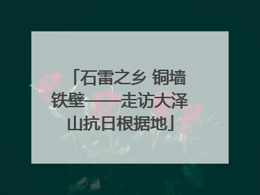 石雷之乡 铜墙铁壁——走访大泽山抗日根据地