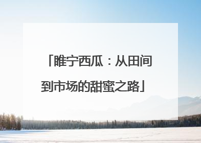 睢宁西瓜：从田间到市场的甜蜜之路