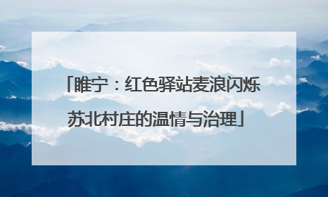 睢宁：红色驿站麦浪闪烁 苏北村庄的温情与治理