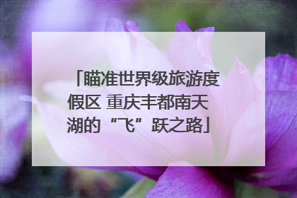 瞄准世界级旅游度假区 重庆丰都南天湖的“飞”跃之路