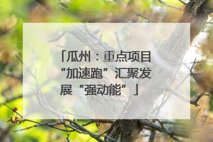 瓜州：重点项目“加速跑”汇聚发展“强动能”