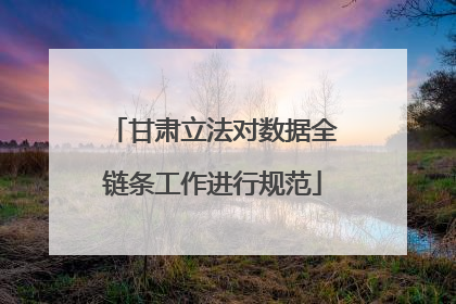甘肃立法对数据全链条工作进行规范