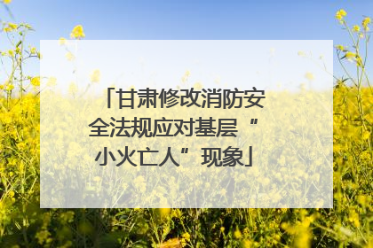 甘肃修改消防安全法规应对基层“小火亡人”现象