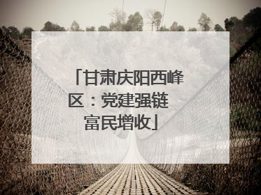 甘肃庆阳西峰区：党建强链 富民增收