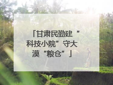 甘肃民勤建“科技小院”守大漠“粮仓”