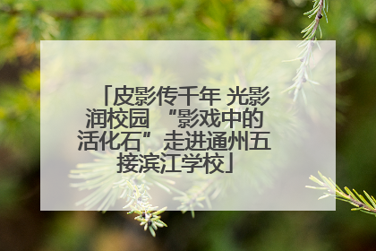 皮影传千年 光影润校园 “影戏中的活化石”走进通州五接滨江学校