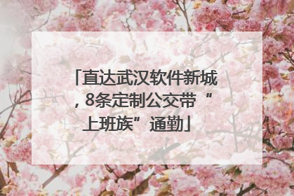 直达武汉软件新城，8条定制公交带“上班族”通勤