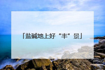 盐碱地上好“丰”景