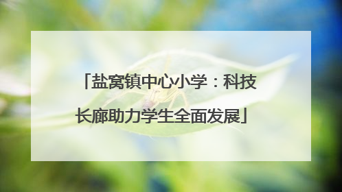 盐窝镇中心小学：科技长廊助力学生全面发展