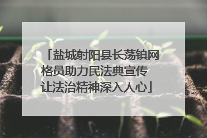 盐城射阳县长荡镇网格员助力民法典宣传 让法治精神深入人心